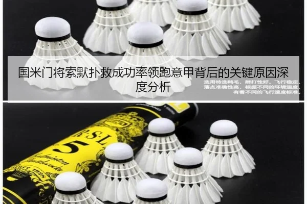 国米门将索默扑救成功率领跑意甲背后的关键原因深度分析