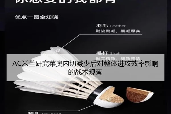 AC米兰研究莱奥内切减少后对整体进攻效率影响的战术观察