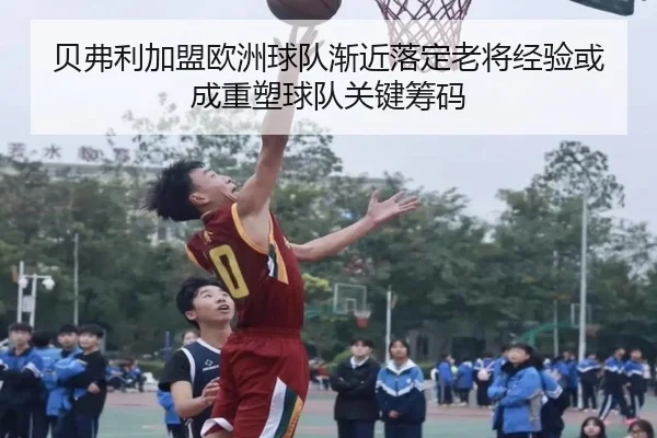贝弗利加盟欧洲球队渐近落定老将经验或成重塑球队关键筹码